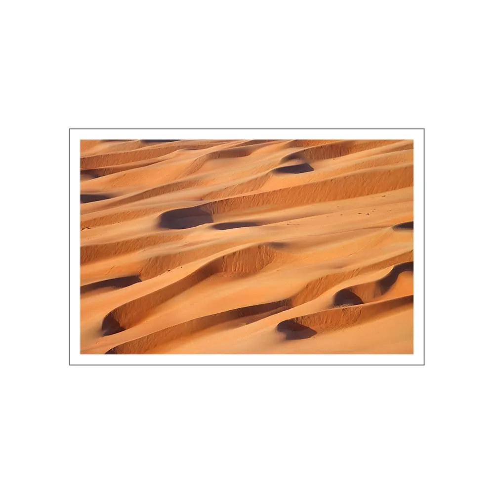 Desert Serenade