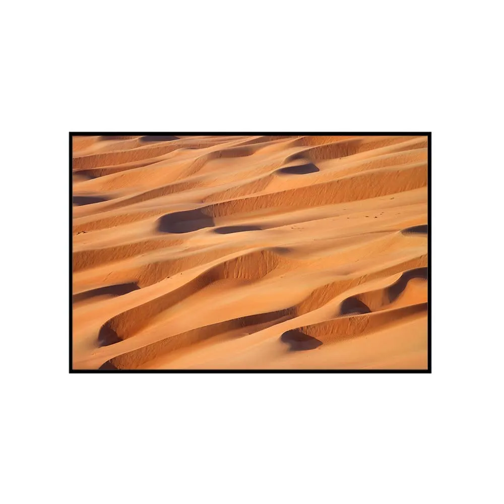 Desert Serenade