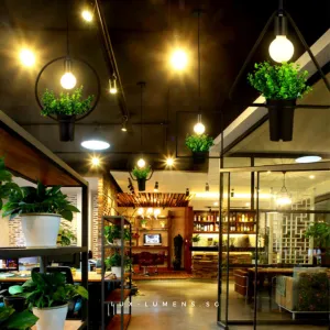 Flora & Fauna Series 2 - Pendant Light
